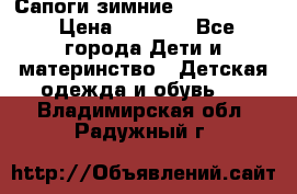 Сапоги зимние Skandia Tex › Цена ­ 1 200 - Все города Дети и материнство » Детская одежда и обувь   . Владимирская обл.,Радужный г.